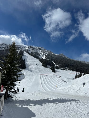 Photo 3-4-2025, 2 56 11 pm