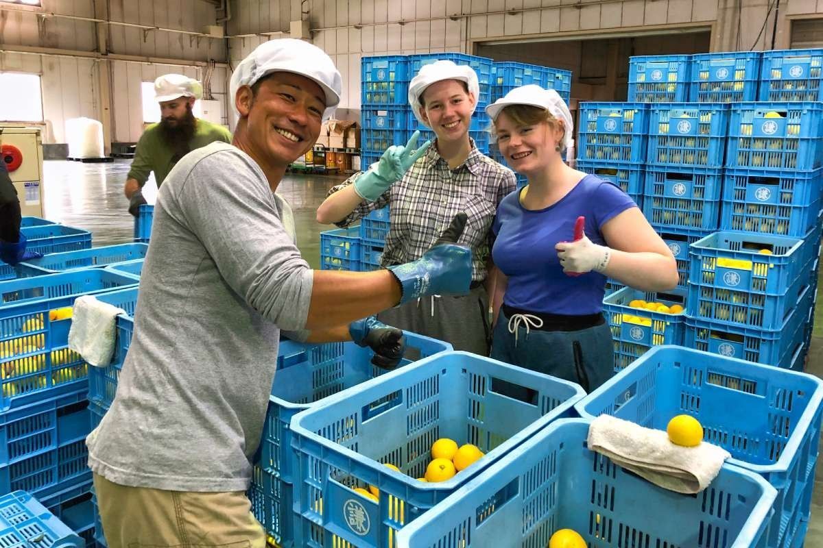 farmwork-working-holiday-rural-japan-881-1200-800-80-c
