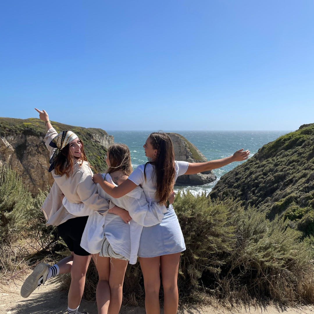 mutual_matching_au_pair_in_america